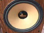 DBX_Soundfield_V_Stereo_Speakers_Woofer_web.jpg (9789 bytes)