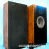 Boston_Acoustics_A100-Series-II_Stereo_Speakers_web.jpg (37023 bytes)