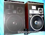 Pioneer_CS-603_Stereo_Speakers_w-Grills_web.jpg (38339 bytes)