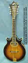 70s_Iida_Mandolin_T.W._web.jpg (23273 bytes)