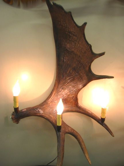 Antler Wall Sconces made in Colorado of Natural Real Mule 