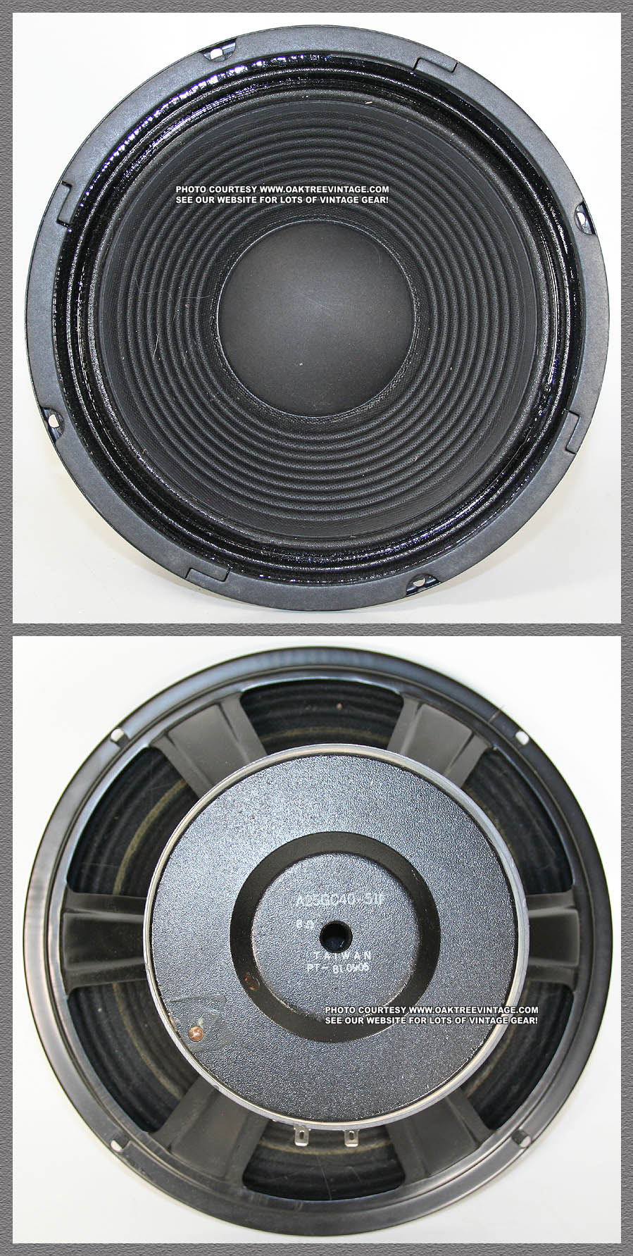 Pioneer 15" Wide-roll Speaker Foam Surround Repair Kit - 2A15 – Springfield Speaker